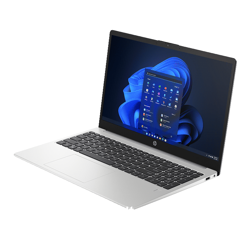 HP 250 G10 Notebook PC 8A538EA