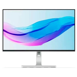 Lenovo L24m-4A Full HD Monitor 67BDUAC6EU