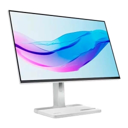 Lenovo L24m-4A Full HD Monitor 67BDUAC6EU