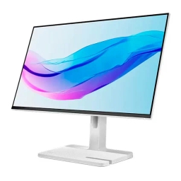 Lenovo L24m-4A Full HD Monitor 67BDUAC6EU