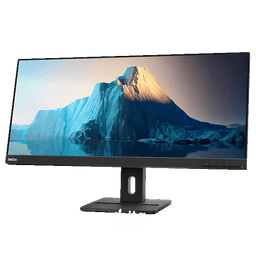 Lenovo ThinkVision E29w-20 QHD Monitor 62CEGAT3EU