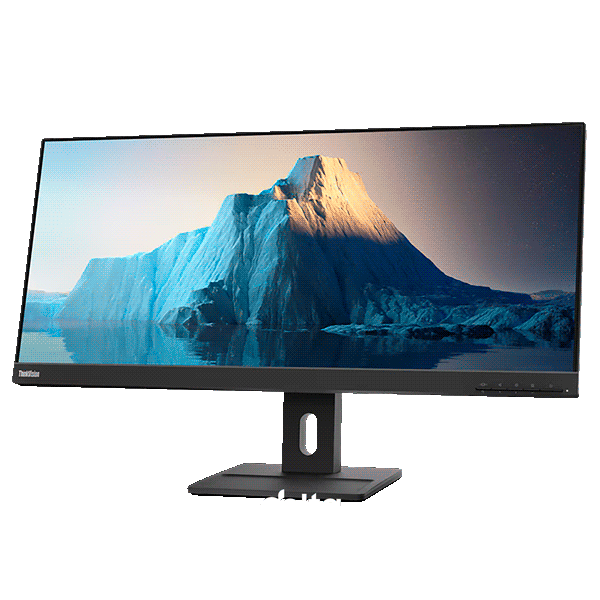 Lenovo ThinkVision E29w-20 QHD Monitor 62CEGAT3EU