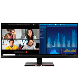 Lenovo ThinkVision P34w-20 63F2RAT3EU Curved Monitor