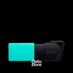 Kingston DataTraveler Exodia M 256GB - USB 3.2 Flash Drive