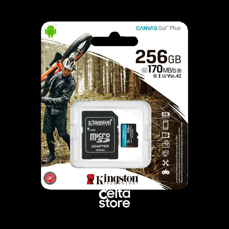 Kingston Canvas Go Plus 256GB microSD SDCG3/256GB